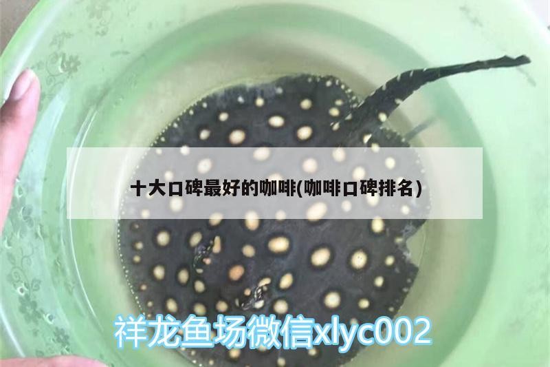 十大口碑最好的咖啡(咖啡口碑排名) 十大口碑最好的咖啡(咖啡口碑排名) 馬來西亞咖啡