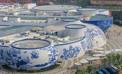 景德鎮水族館vs祥龍魚場（探討景德鎮水族館與祥龍魚場的區別之前需要明確兩者的基本信息和特點）