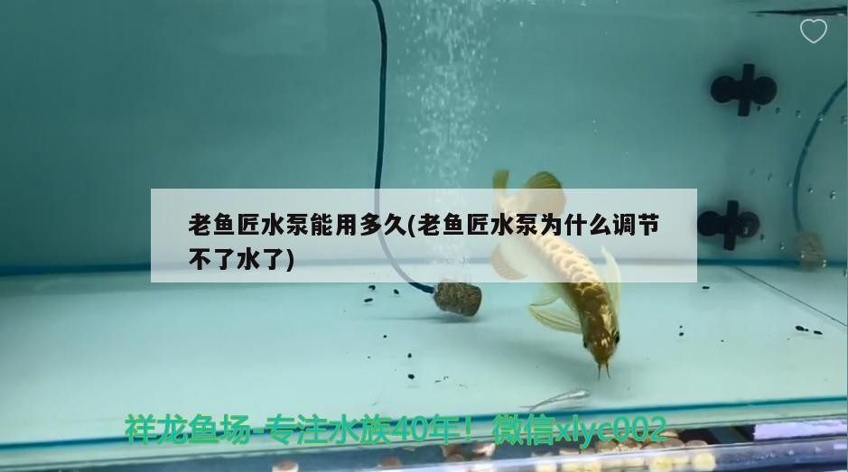 老魚(yú)匠水泵能用多久(老魚(yú)匠水泵為什么調(diào)節(jié)不了水了)