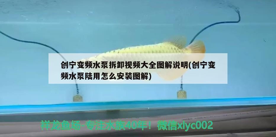 創寧變頻水泵拆卸視頻大全圖解說明(創寧變頻水泵陸用怎么安裝圖解)