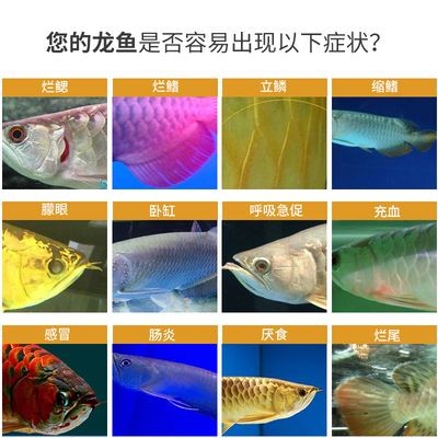 紅龍魚蒙眼是什么原因：紅龍魚蒙眼是什么原因導致的 紅龍魚蒙眼是什么原因：紅龍魚蒙眼是什么原因導致的 紅龍魚百科 第3張