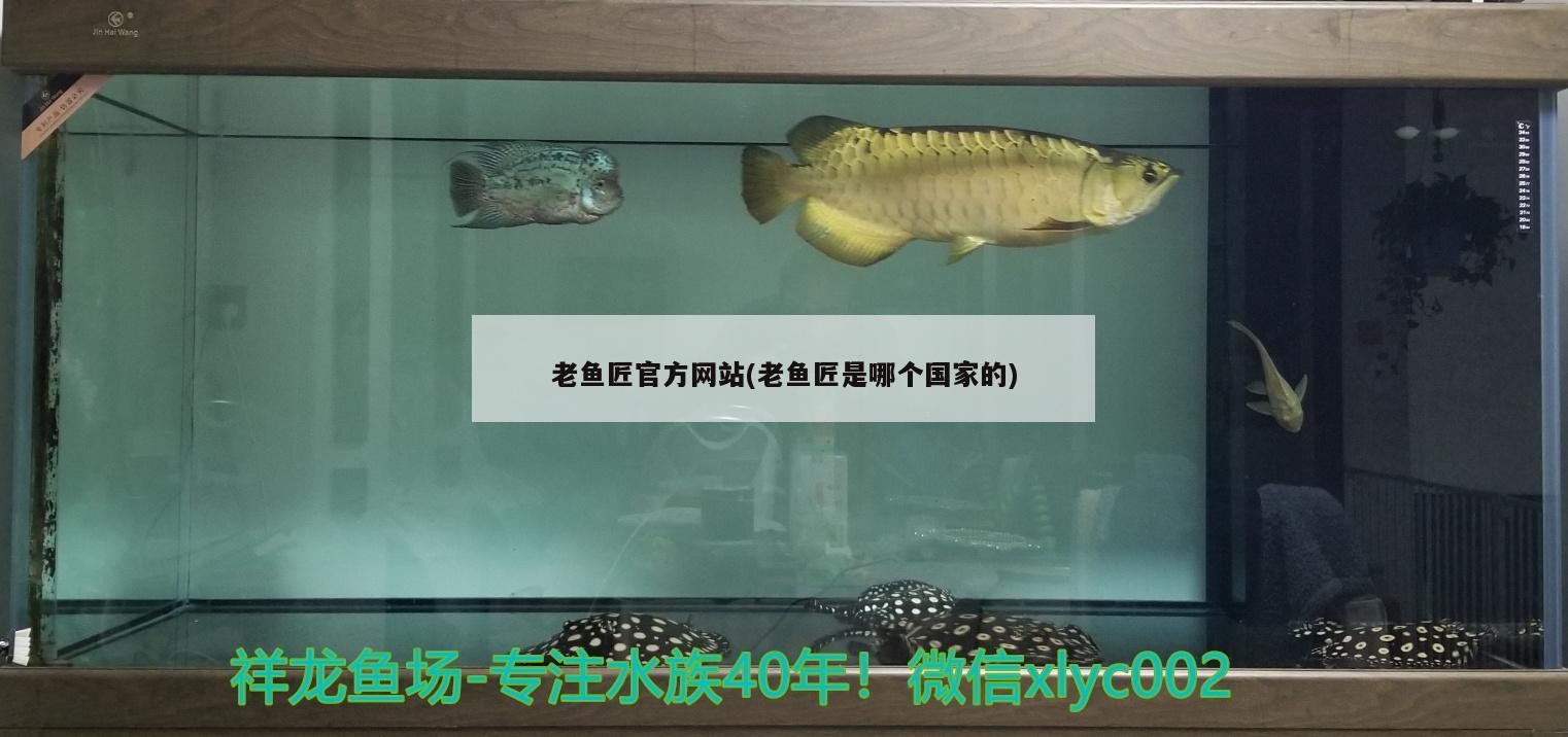 老魚匠官方網站(老魚匠是哪個國家的) 老魚匠官方網站(老魚匠是哪個國家的) 老魚匠