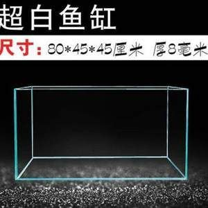 60魚缸尺寸規格:60魚缸尺寸規格從多個角度進行考慮和選擇和選擇 魚缸百科 第1張 60魚缸尺寸規格:60魚缸尺寸規格從多個角度進行考慮和選擇和選擇 60魚缸尺寸規格:60魚缸尺寸規格從多個角度進行考慮和選擇和選擇 魚缸百科 第1張