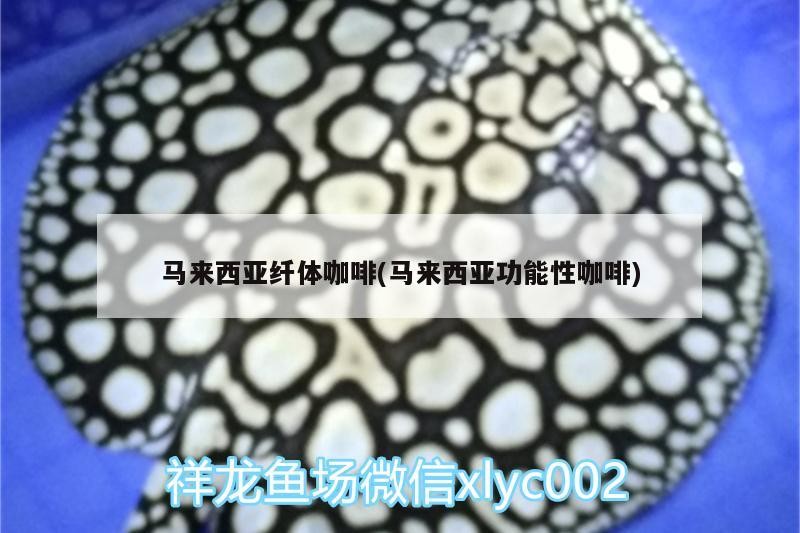 馬來西亞纖體咖啡(馬來西亞功能性咖啡)