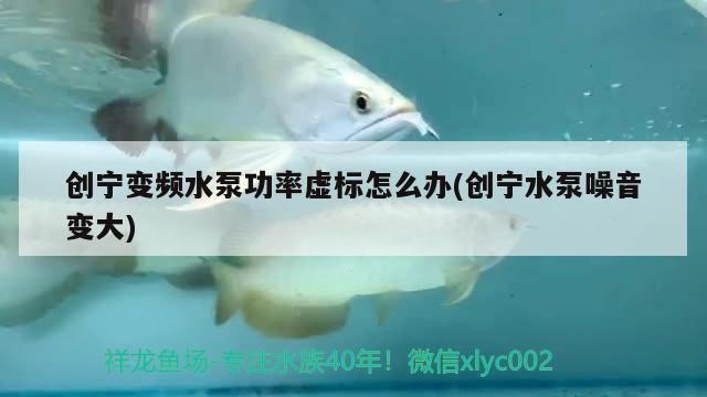 創寧變頻水泵功率虛標怎么辦(創寧水泵噪音變大)
