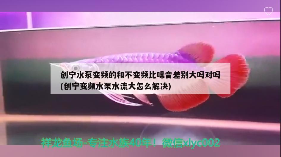創寧水泵變頻的和不變頻比噪音差別大嗎對嗎(創寧變頻水泵水流大怎么解決)
