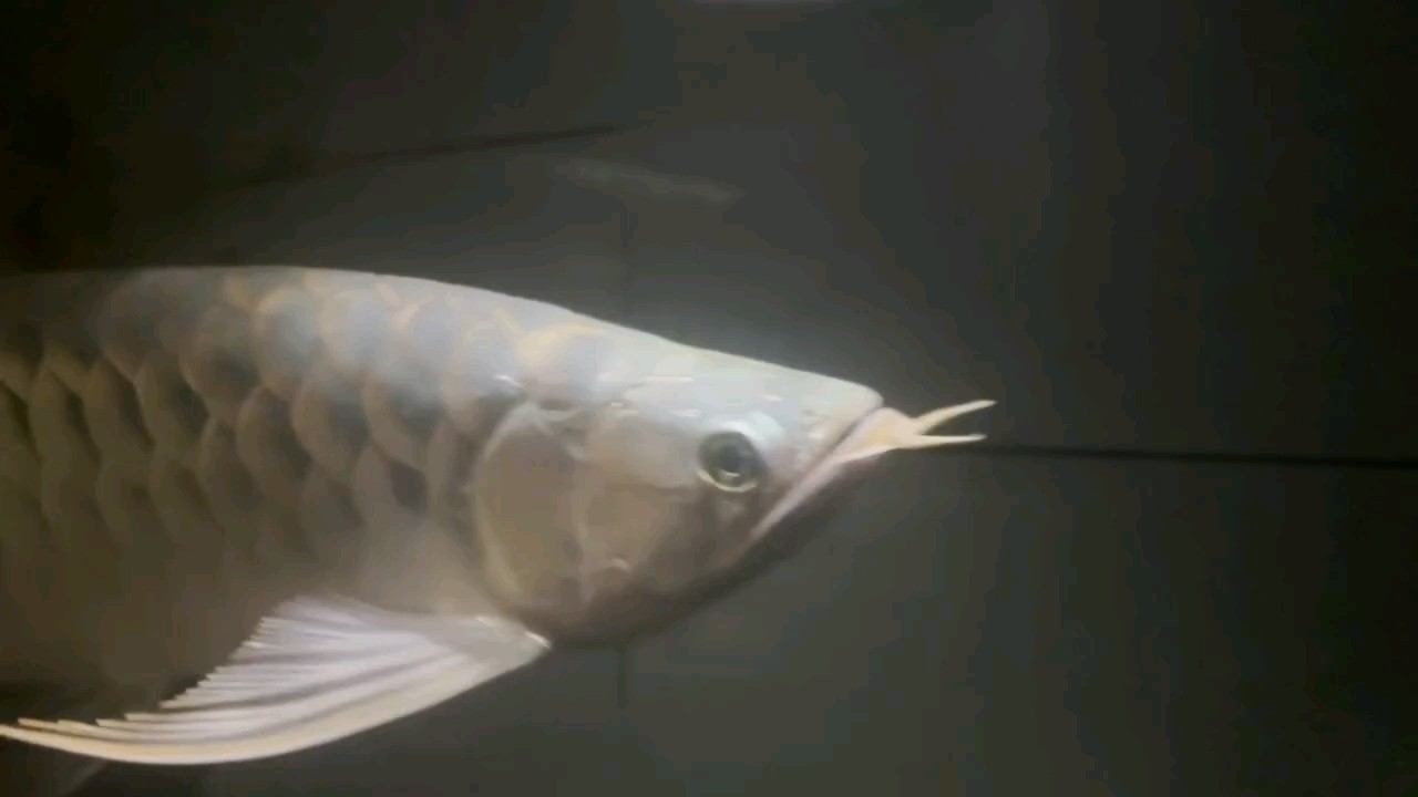 假期快樂??