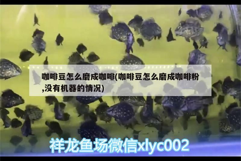 咖啡豆怎么磨成咖啡(咖啡豆怎么磨成咖啡粉,沒有機器的情況)