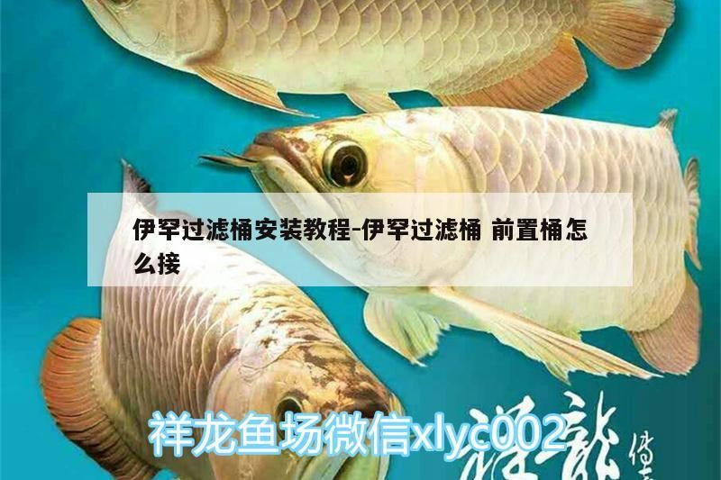 伊罕過濾桶安裝教程:伊罕過濾桶前置桶怎么接 伊罕過濾桶安裝教程:伊罕過濾桶前置桶怎么接 伊罕水族