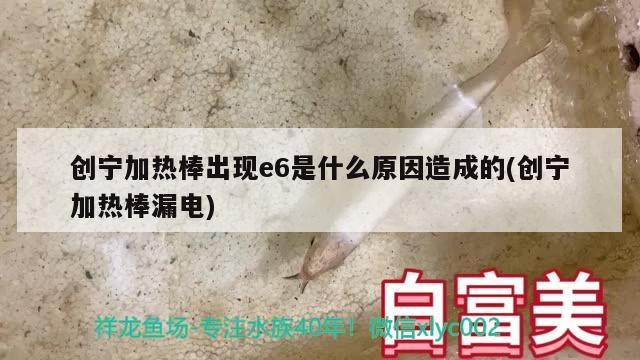 創寧加熱棒出現e6是什么原因造成的(創寧加熱棒漏電)