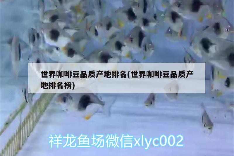 世界咖啡豆品質產地排名(世界咖啡豆品質產地排名榜)