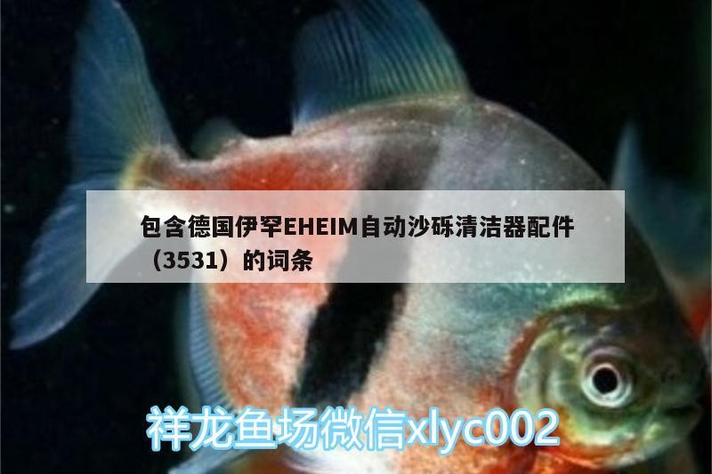 包含德國(guó)伊罕EHEIM自動(dòng)沙礫清潔器配件（3531）的詞條 包含德國(guó)伊罕EHEIM自動(dòng)沙礫清潔器配件（3531）的詞條 伊罕水族