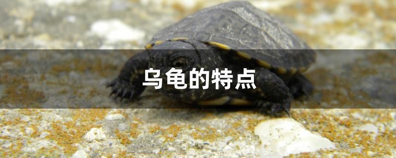 天津哪里有賣(mài)魚(yú)缸的實(shí)體店鋪（天津哪里買(mǎi)魚(yú)缸便宜） 天津哪里有賣(mài)魚(yú)缸的實(shí)體店鋪（天津哪里買(mǎi)魚(yú)缸便宜） 全國(guó)水族館企業(yè)名錄 第2張