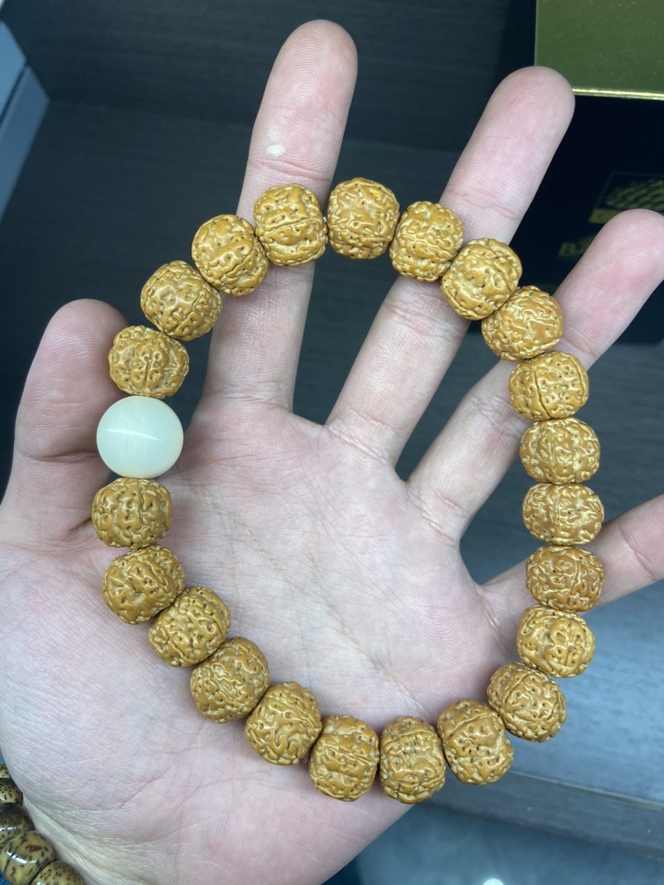 給新串加個配飾 猛犸象牙 給新串加個配飾 猛犸象牙 龍魚論壇 第1張