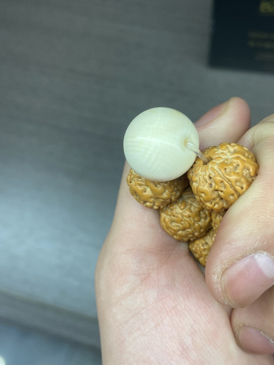 給新串加個配飾 猛犸象牙 給新串加個配飾 猛犸象牙 龍魚論壇 第2張