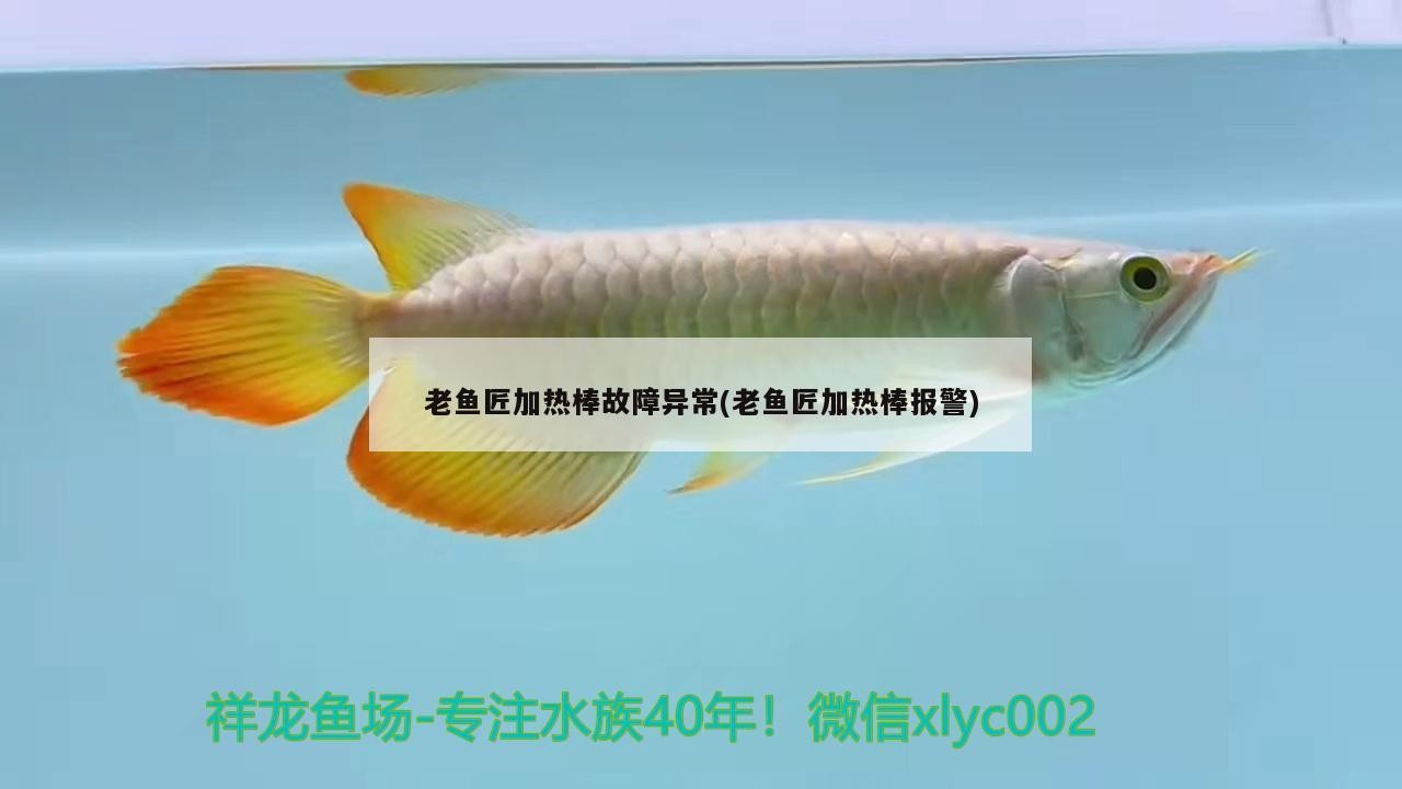 老魚匠加熱棒故障異常(老魚匠加熱棒報警) 老魚匠加熱棒故障異常(老魚匠加熱棒報警) 老魚匠