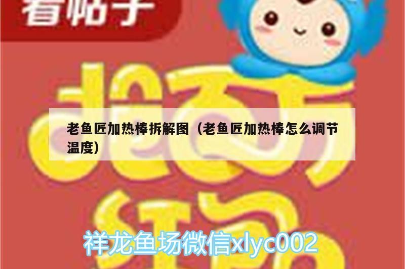 老魚匠加熱棒拆解圖（老魚匠加熱棒怎么調節溫度）