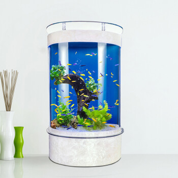 魚缸加熱棒森森和創寧哪個好（魚缸加熱棒森森和創寧哪個好用）