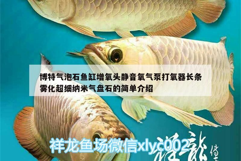 博特氣泡石魚缸增氧頭靜音氧氣泵打氧器長條霧化超細納米氣盤石的簡單介紹