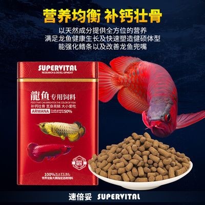 金龍魚飼料增色增紅效果：關于金龍魚飼料增色增紅效果的詳細分析 金龍魚飼料增色增紅效果：關于金龍魚飼料增色增紅效果的詳細分析 金龍魚百科 第1張