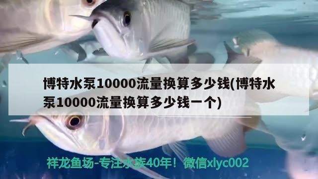 博特水泵10000流量換算多少錢(博特水泵10000流量換算多少錢一個)
