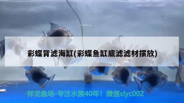 大魚缸側(cè)濾加裝（魚缸的水如何變清）