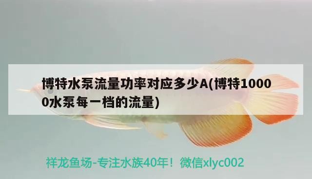 博特水泵流量功率對應多少A(博特10000水泵每一檔的流量)