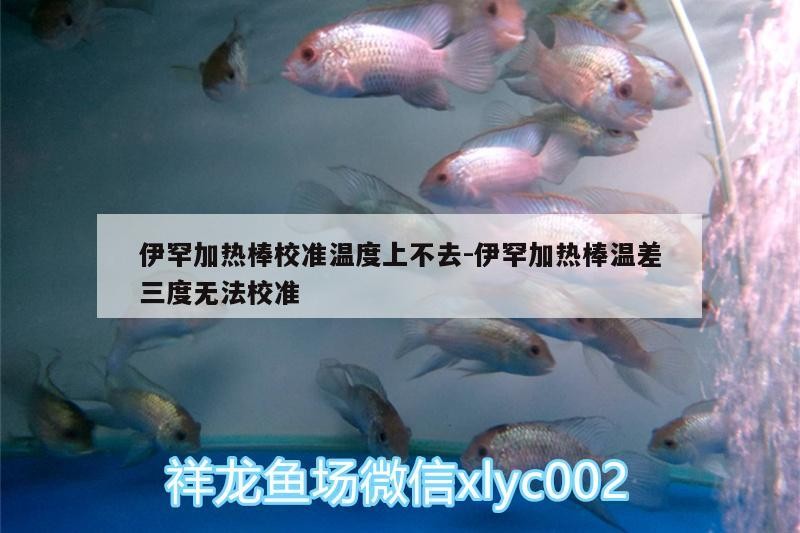 伊罕加熱棒校準(zhǔn)溫度上不去:伊罕加熱棒溫差三度無法校準(zhǔn)