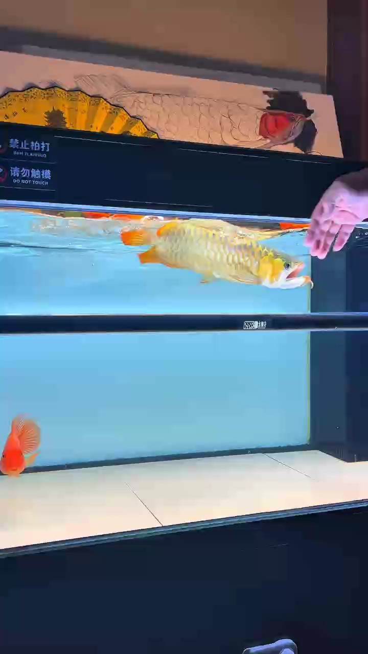 這狀態炸水怎能不愛？