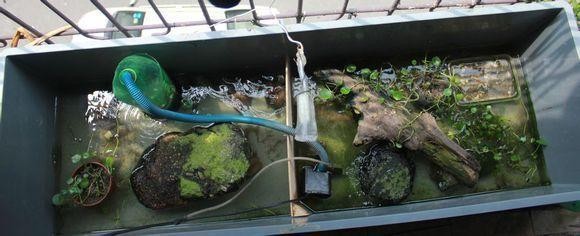 博特水泵和創寧和森森（博特水泵和創寧和森森哪個好） 博特水泵和創寧和森森（博特水泵和創寧和森森哪個好） 創寧水族