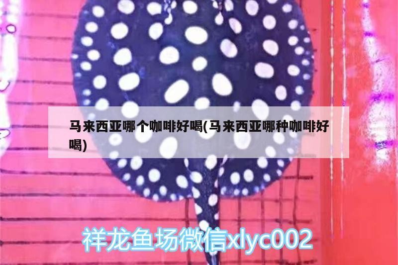 馬來西亞哪個(gè)咖啡好喝(馬來西亞哪種咖啡好喝)