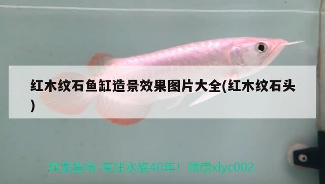 紅木紋石魚缸造景效果圖片大全(紅木紋石頭) 紅木紋石魚缸造景效果圖片大全(紅木紋石頭) iwish愛唯希品牌魚缸