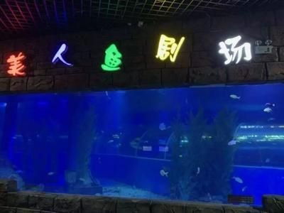 玉溪水族館vs祥龍魚場（玉溪水族館與祥龍魚場之間的差異之前，我們需要明確基本信息和業務范圍）