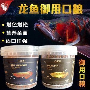 紅龍魚增色劑的正確使用方法：紅龍魚增色劑使用注意事項 紅龍魚增色劑的正確使用方法：紅龍魚增色劑使用注意事項 紅龍魚百科 第5張