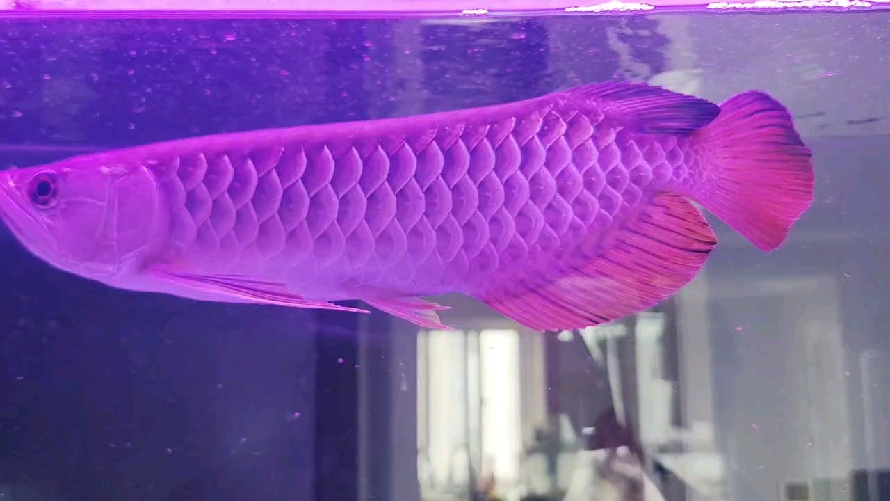 這樣看是不是好多了