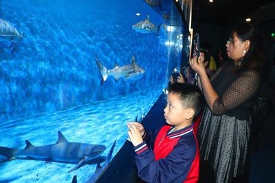 邵陽水族館vs祥龍魚場（邵陽水族館與祥龍魚場的區別）