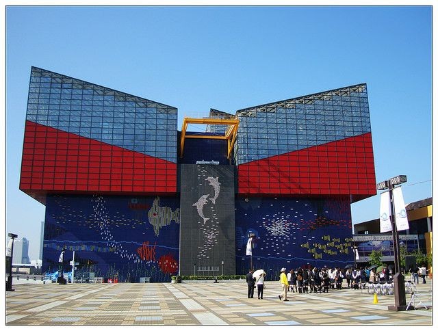 保山水族館vs祥龍魚場(chǎng)（保山水族館和祥龍魚場(chǎng)各有其特點(diǎn)和優(yōu)勢(shì)）