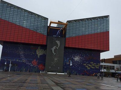 保山水族館vs祥龍魚場(chǎng)（保山水族館和祥龍魚場(chǎng)各有其特點(diǎn)和優(yōu)勢(shì)）