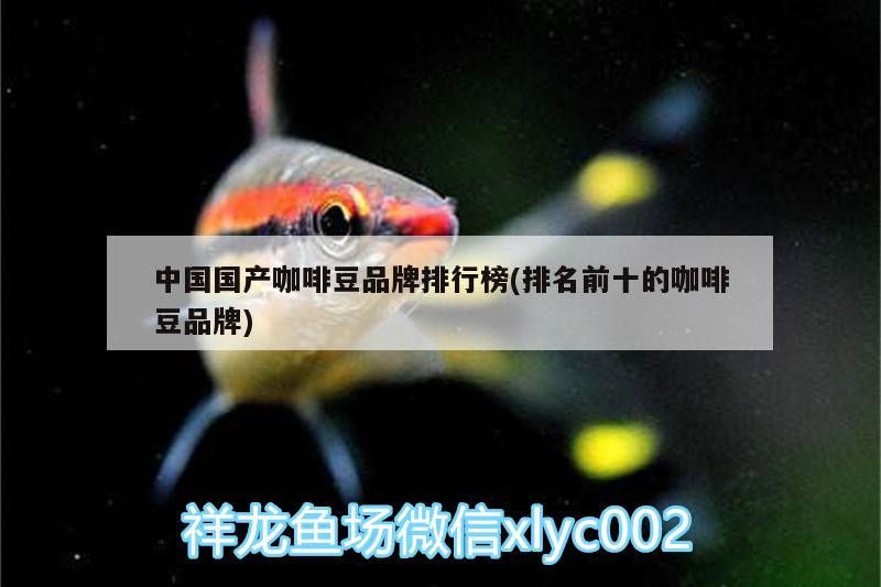 中國國產咖啡豆品牌排行榜(排名前十的咖啡豆品牌) 中國國產咖啡豆品牌排行榜(排名前十的咖啡豆品牌) 馬來西亞咖啡