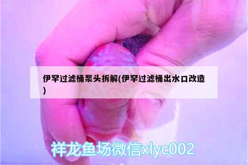 伊罕過濾桶泵頭拆解(伊罕過濾桶出水口改造) 伊罕過濾桶泵頭拆解(伊罕過濾桶出水口改造) 伊罕水族