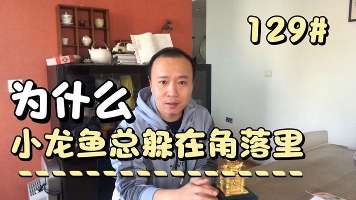 紅龍魚老躲在角落怎么辦：紅龍魚老躲在角落里怎么辦