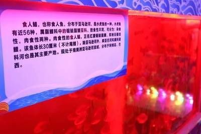 貴港水族館vs祥龍魚場（探討貴港水族館與祥龍魚場的差異之前）