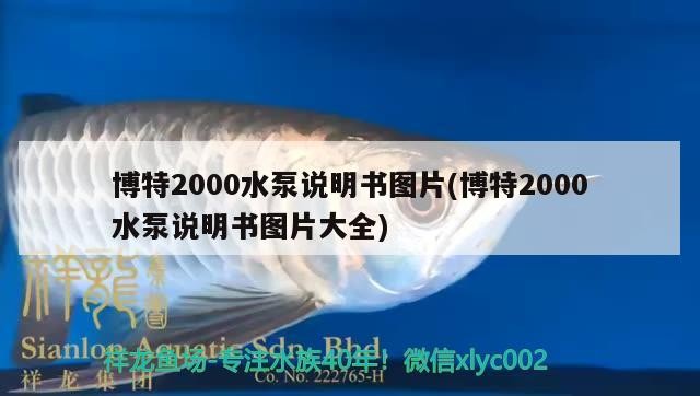 博特2000水泵說明書圖片(博特2000水泵說明書圖片大全) 博特2000水泵說明書圖片(博特2000水泵說明書圖片大全) 博特水族