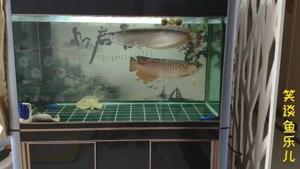 魟魚內(nèi)寄：魟魚內(nèi)寄怎么辦