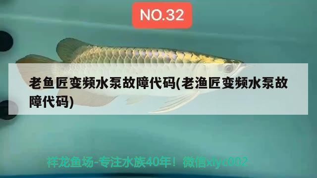 老魚匠變頻水泵故障代碼(老漁匠變頻水泵故障代碼)