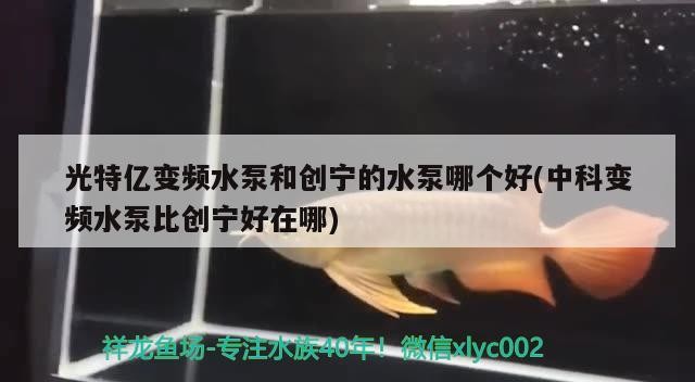光特億變頻水泵和創寧的水泵哪個好(中科變頻水泵比創寧好在哪)