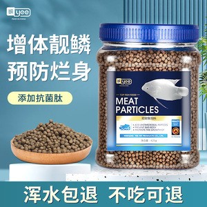 家里養(yǎng)烏龜好嗎：家里養(yǎng)烏龜好嗎吉利嗎