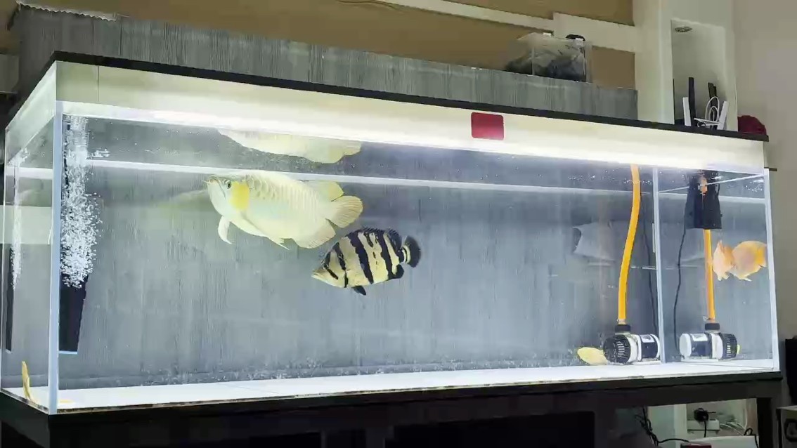國慶假期已加載過半