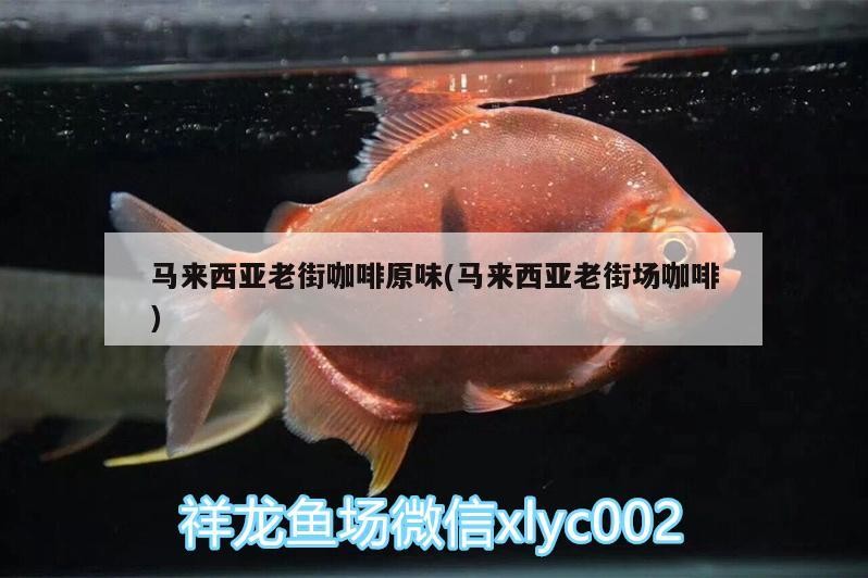 馬來西亞老街咖啡原味(馬來西亞老街場咖啡)