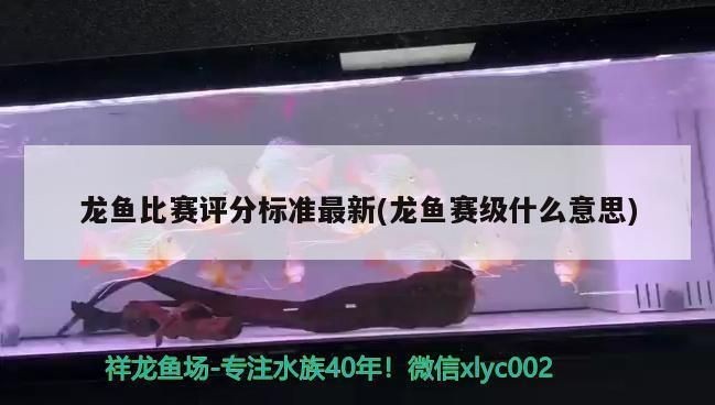 紅龍魚比賽的審美標準是:如何挑選比賽級紅龍魚 紅龍魚百科 第3張 紅龍魚比賽的審美標準是:如何挑選比賽級紅龍魚 紅龍魚比賽的審美標準是:如何挑選比賽級紅龍魚 紅龍魚百科 第3張